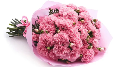 Buy Carnation Bouquet - Flower | eSadabahar